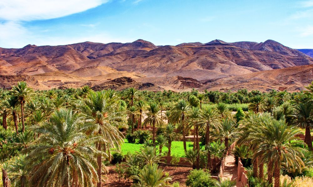 Explore Meskouk - Dessert Tour from Marrakech (8)